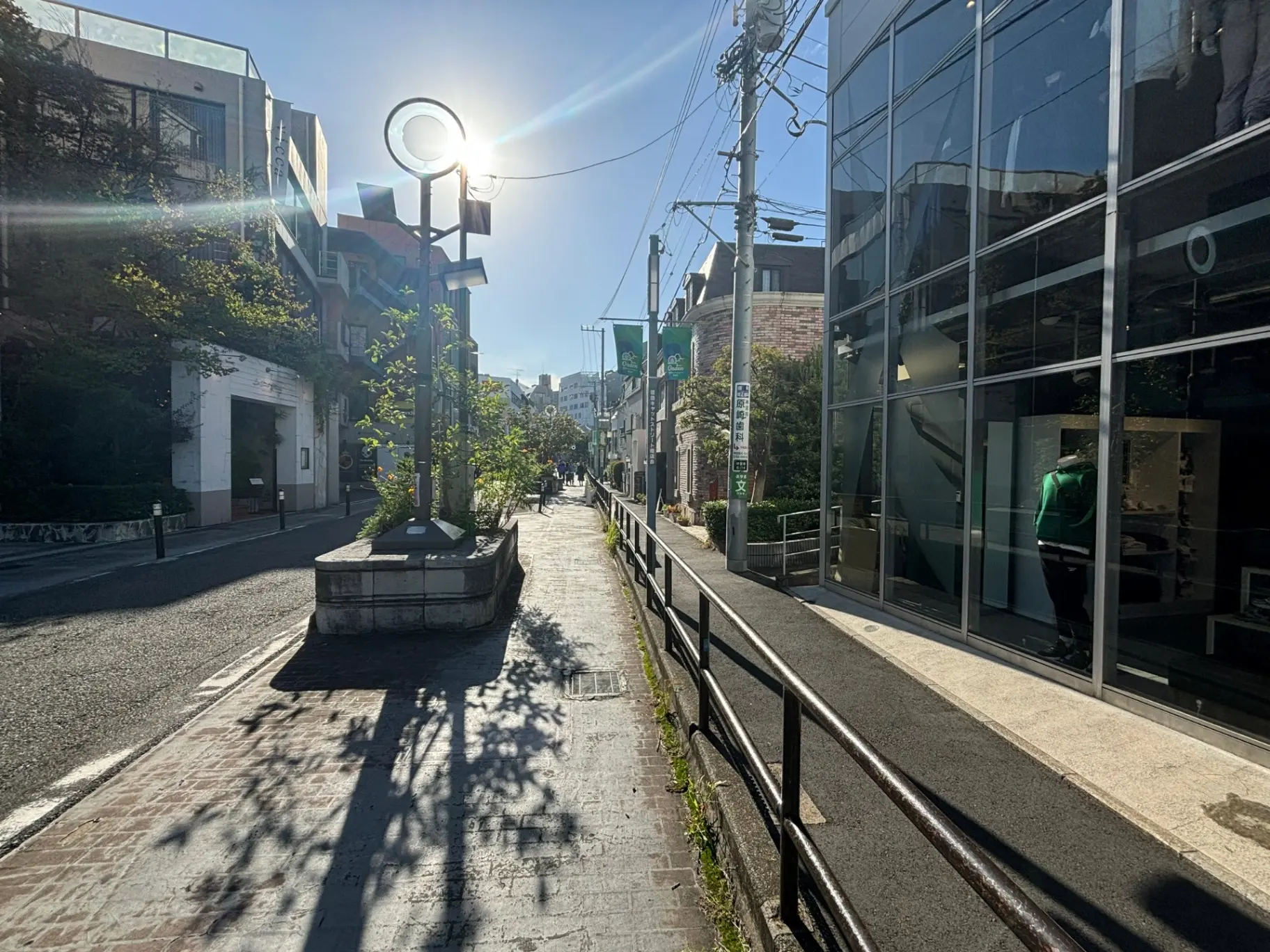 都市の朝の風景、歩道と街路樹、背景にモダンなガラス張りの建物