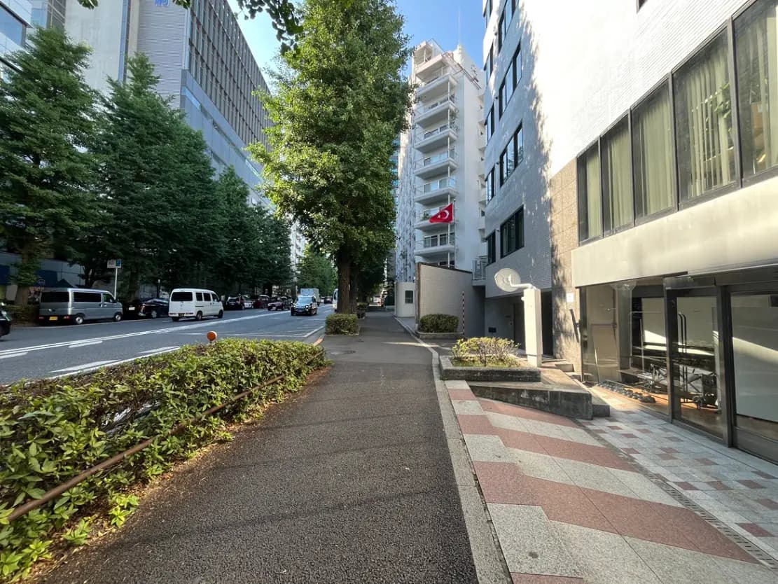 - 樹木に囲まれた静かな街道、近隣の建物と通行する車両が見える都市の風景