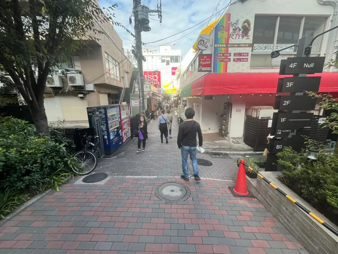 日常の賑わいを感じる街並み、歩く人々、多様な店舗が並ぶ商店街の風景