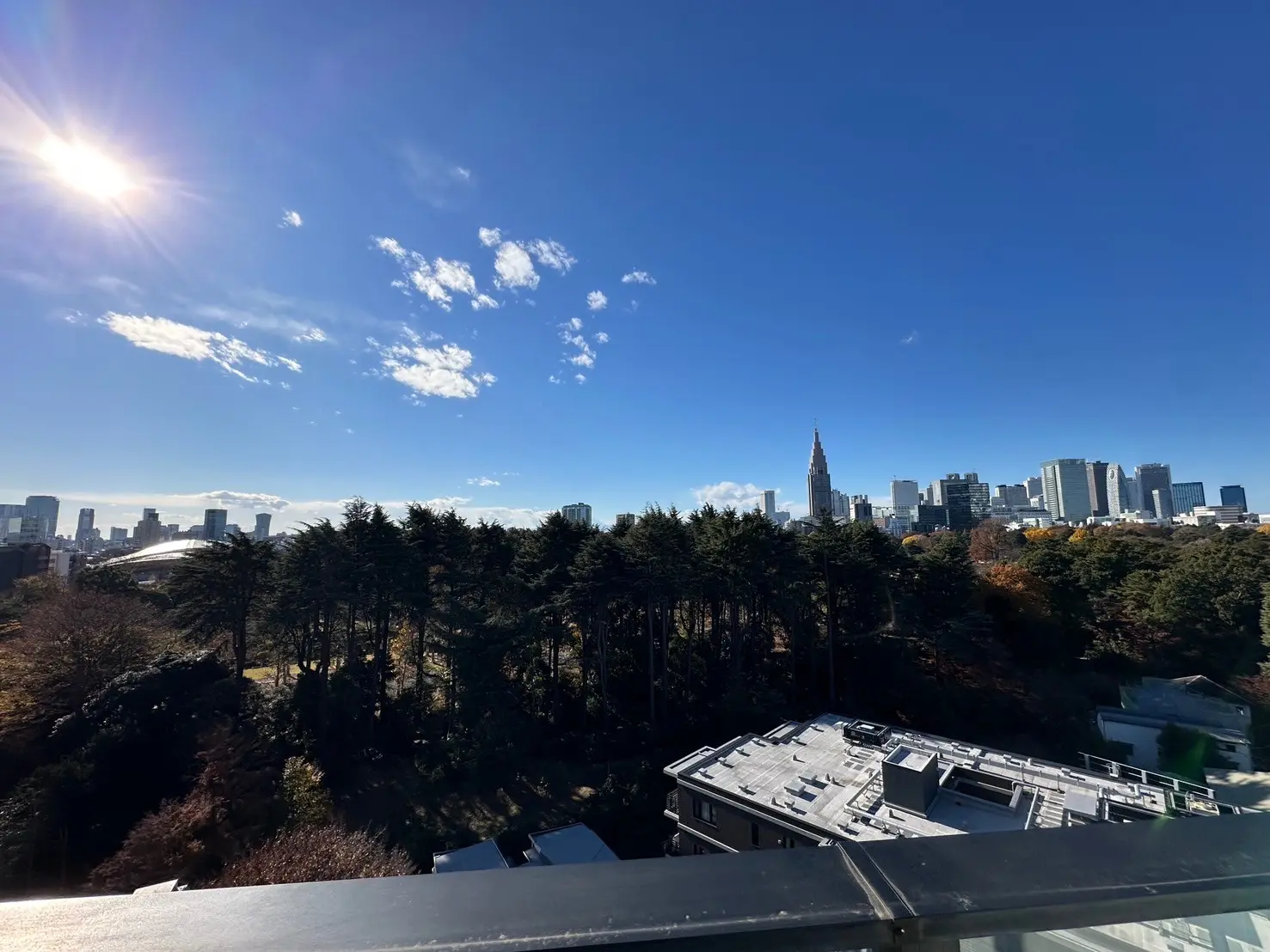 晴れた日の都心部のスカイライン、ビル群と青空、手前に緑豊かな公園