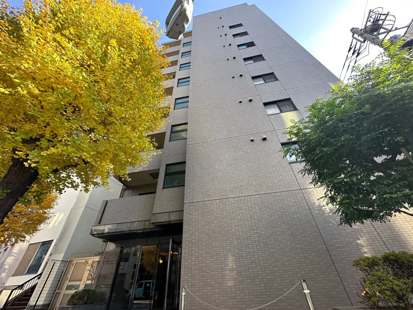 秋の光を浴びた黄色い木々と通りに面したモダンなマンション外観