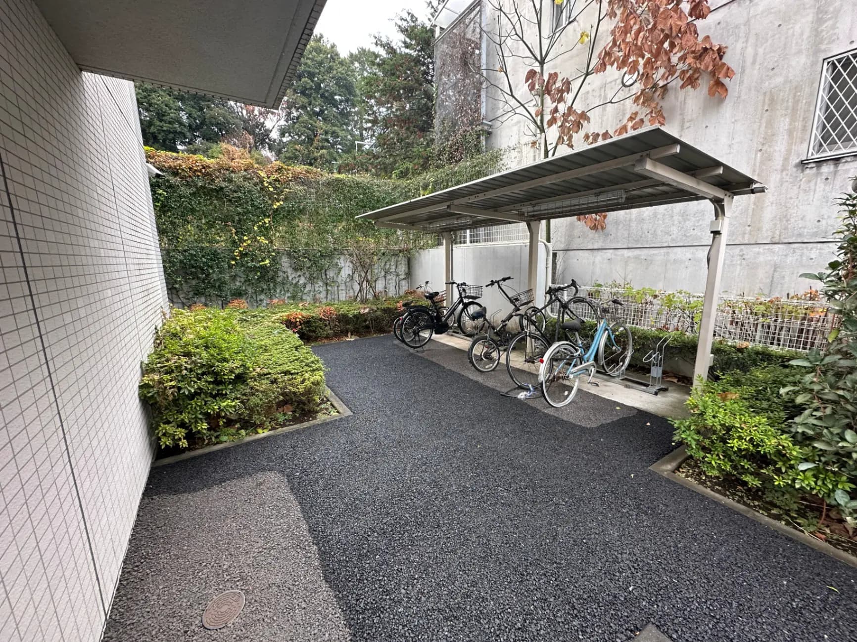 自転車置き場付きの整備された外観フロア
