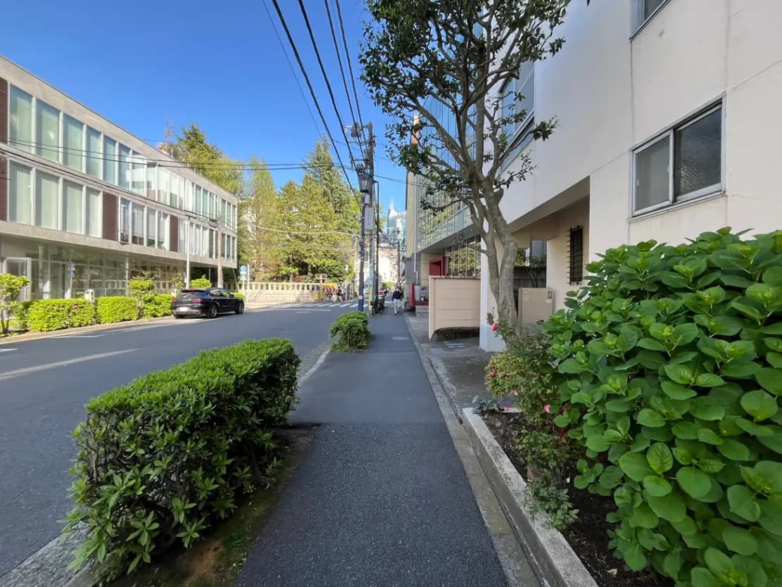 - 新緑の植物が並ぶ街路、左側に現代的なガラス張りの建物、静かな住宅街の風景