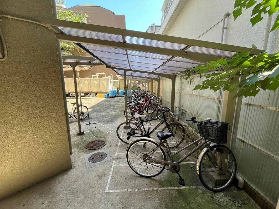 - 自転車が並ぶ屋根付きの駐輪場、整理されたスペースと太陽光が差し込む明るい環境
