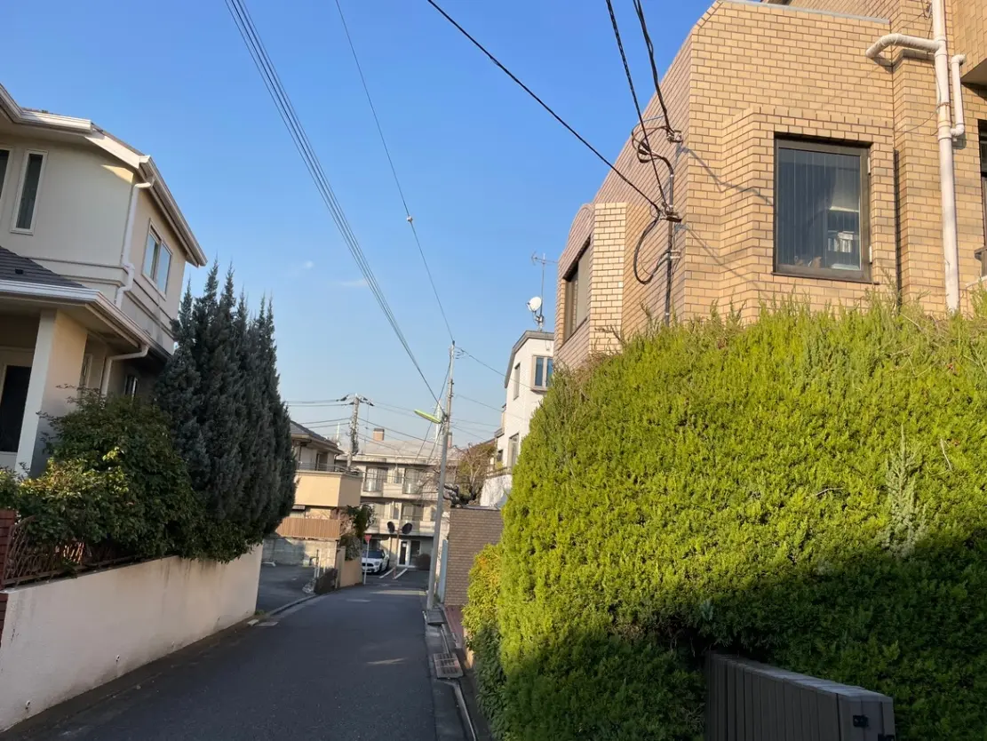 晴れた日の郊外の住宅街、緑豊かな植栽とレンガ造りの家