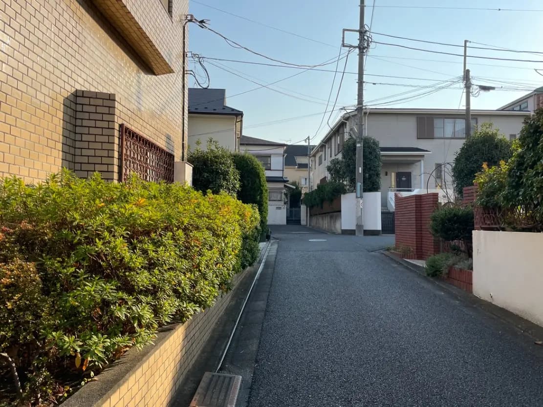 日本の住宅街の静かな通り、整備された植栽と住宅、電柱と配線が見える風景