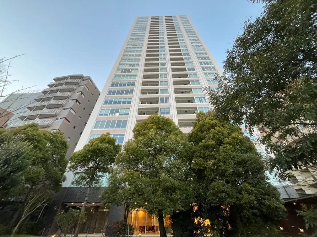 高層マンションと隣接する低層ビル、前景には緑豊かな木々がある都市の景観
