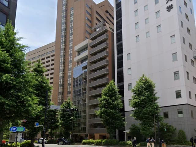 - 都市の風景、近代的なビルと緑に囲まれた街角、晴れた空の下のオフィスビル群