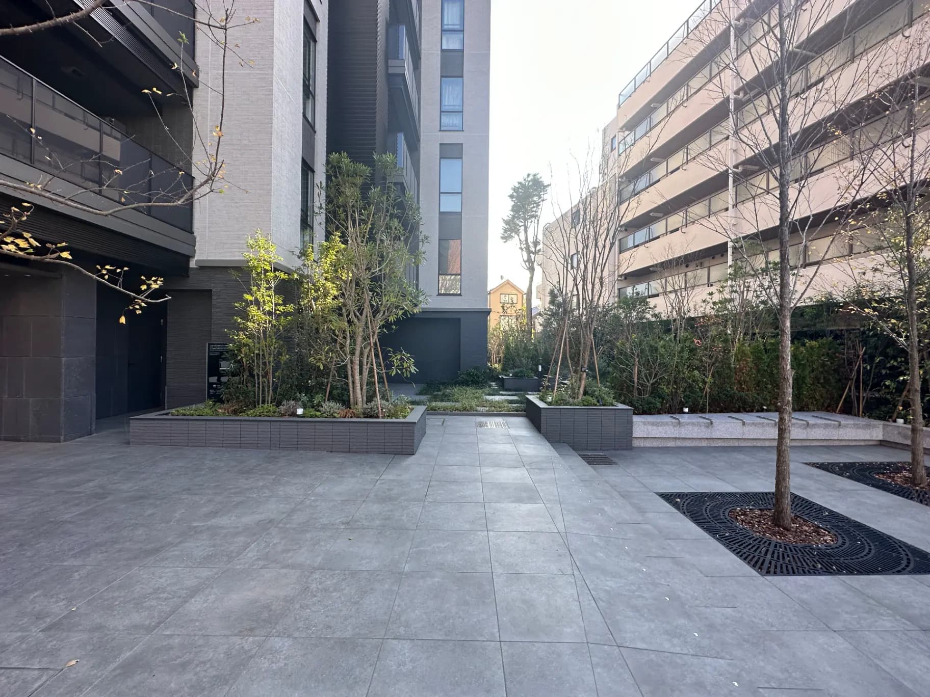 モダンなアパートメントのエントランス庭園、植栽付きの都市風景、石畳の歩道