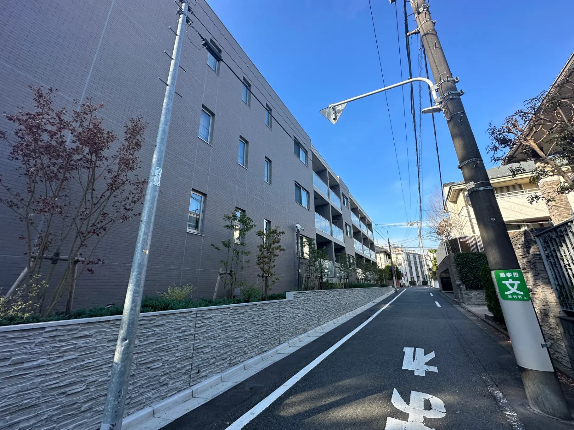 晴れた日の住宅街の風景、アパートの建物と街路樹、青空と停止標識が見える道路