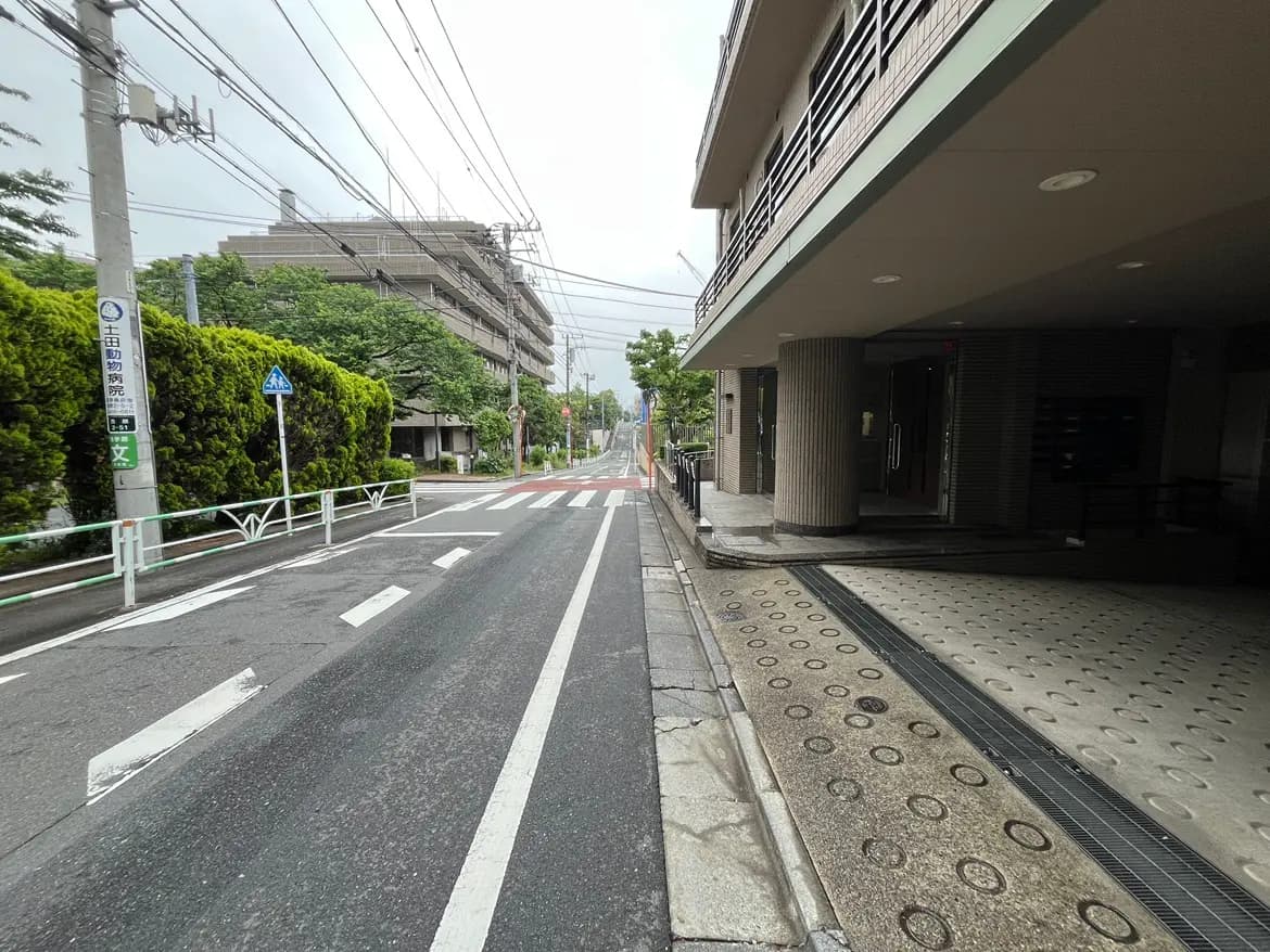 - 雨の降る日、交通標識と緑の植え込みがある道路、および建物のエントランスが見える風景