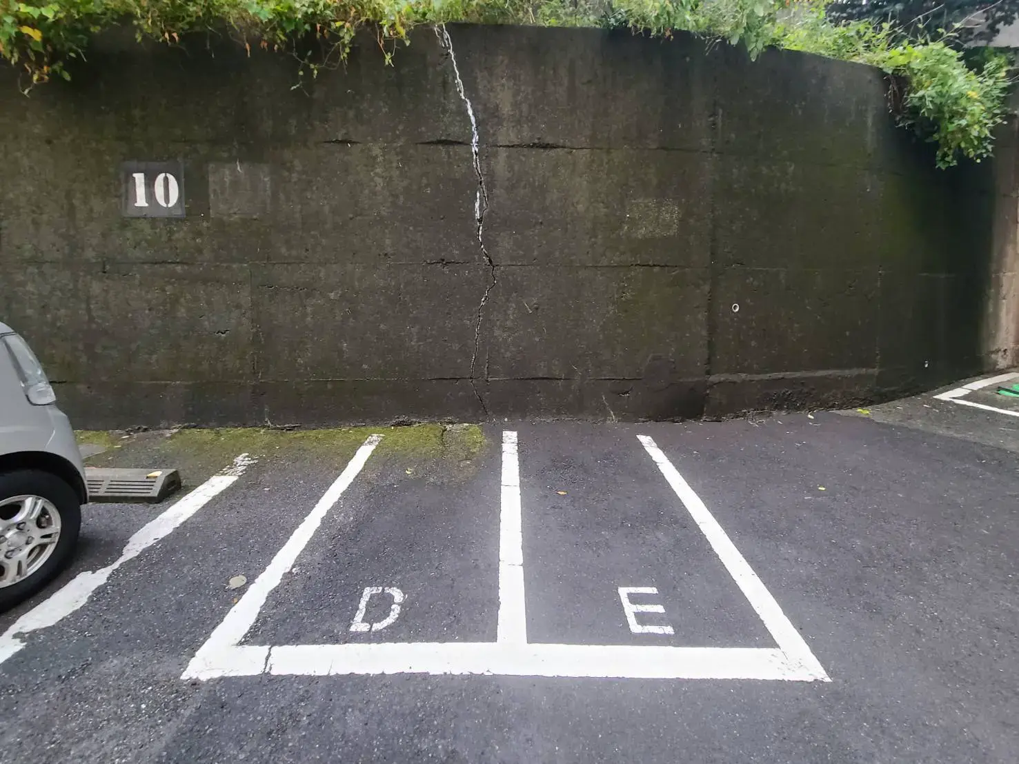 駐車スペースが明示された舗装された駐車場