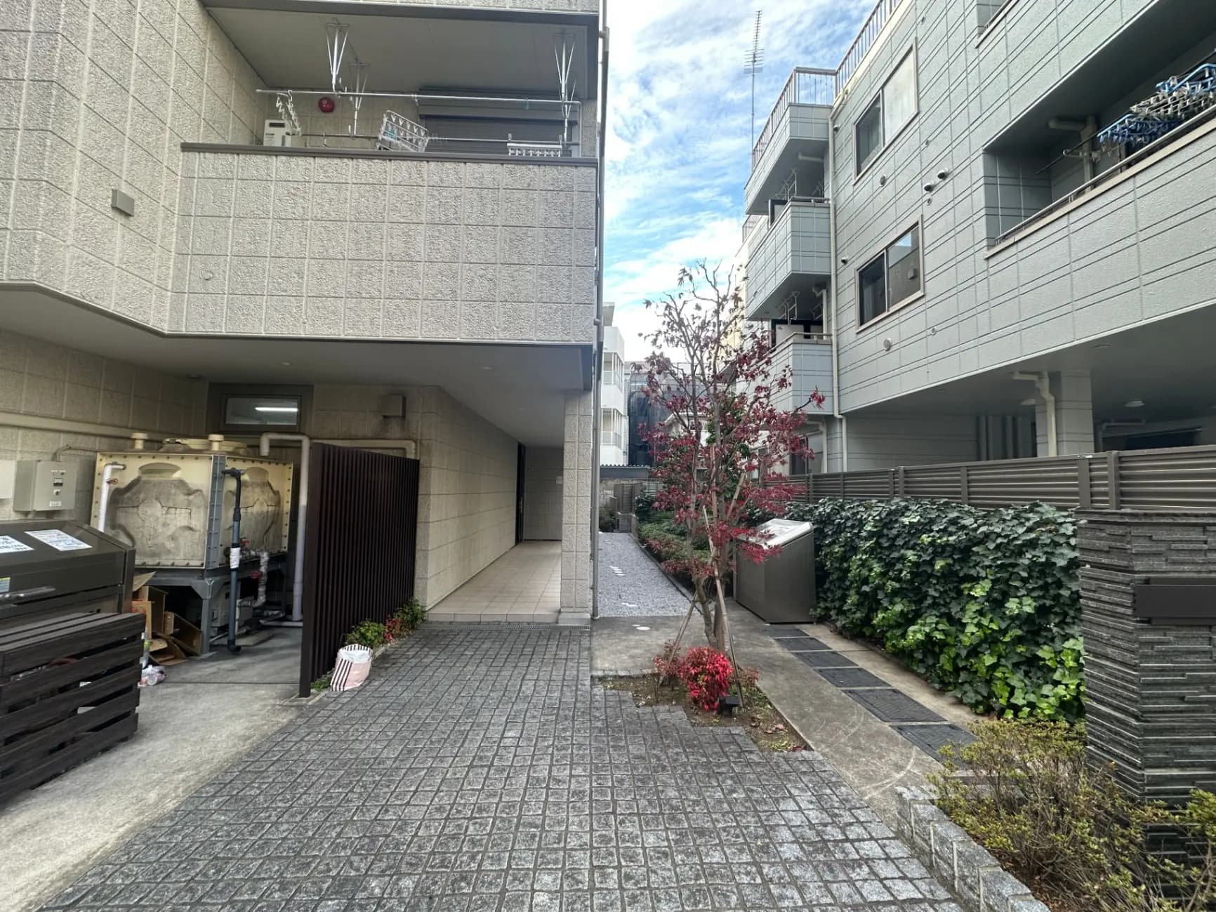 都市のアパートの間の狭い通り、石畳の道と周囲の植物
