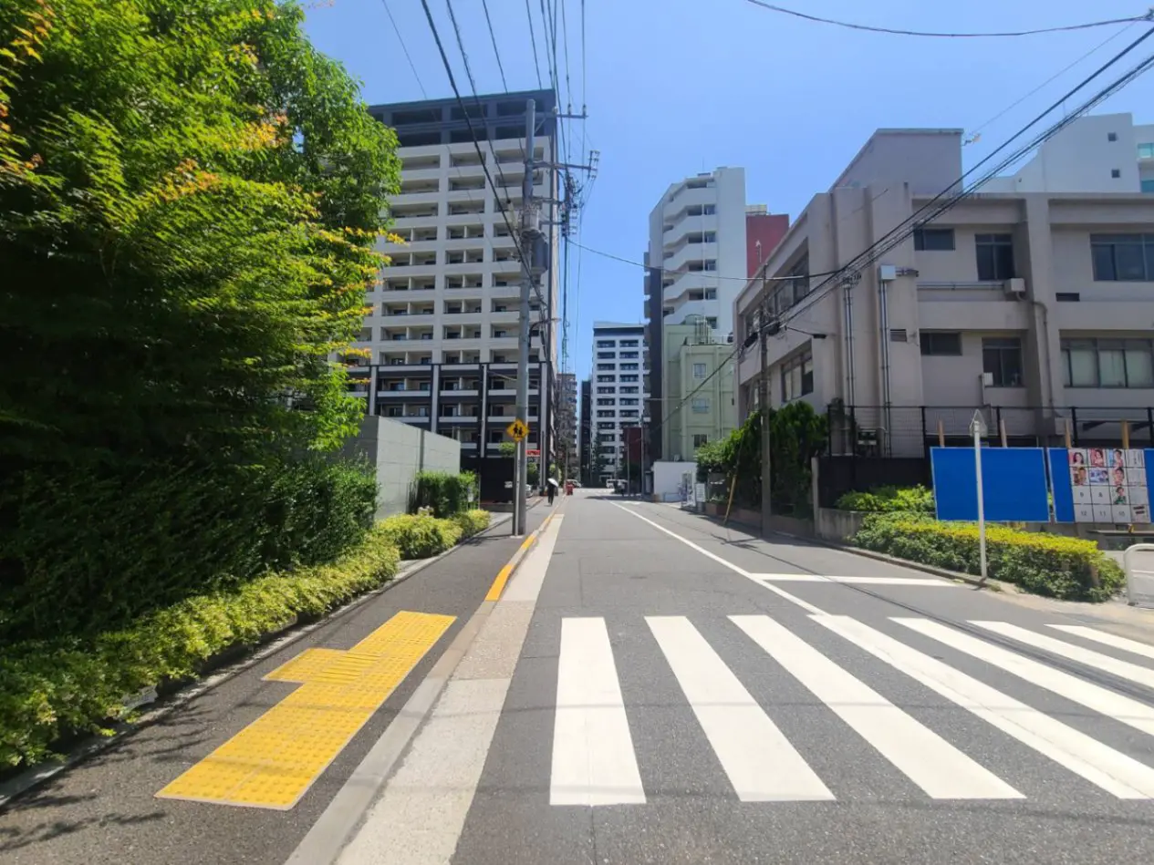 - 青空の下、並ぶマンションと緑豊かな街路樹、歩道と横断歩道のある都市の風景