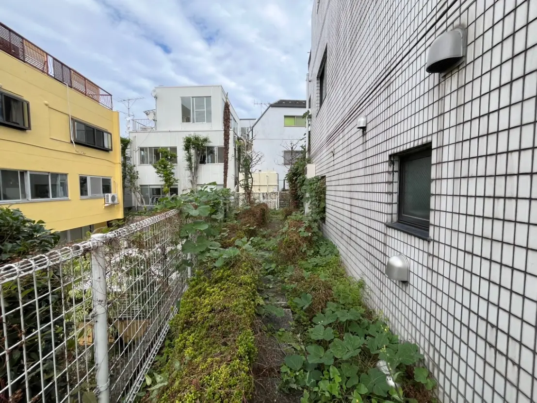 緑が生い茂る都市の隙間、タイル張りの壁面と建物間の細い通路
