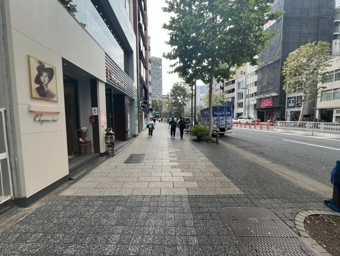 都市の歩道と街路樹、明るい日中に人々が歩く姿とショッピングエリアの一部