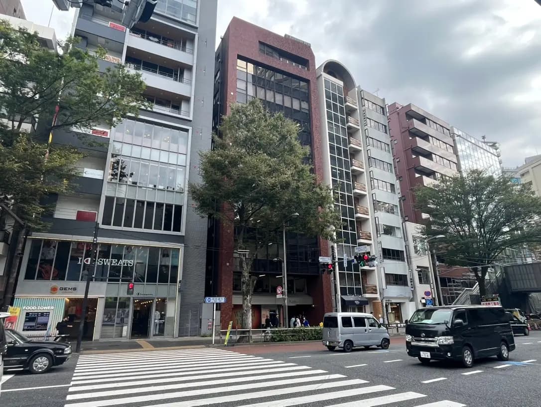 都市部に位置する近代的なビルの街並み、交差点と横断歩道、曇り空