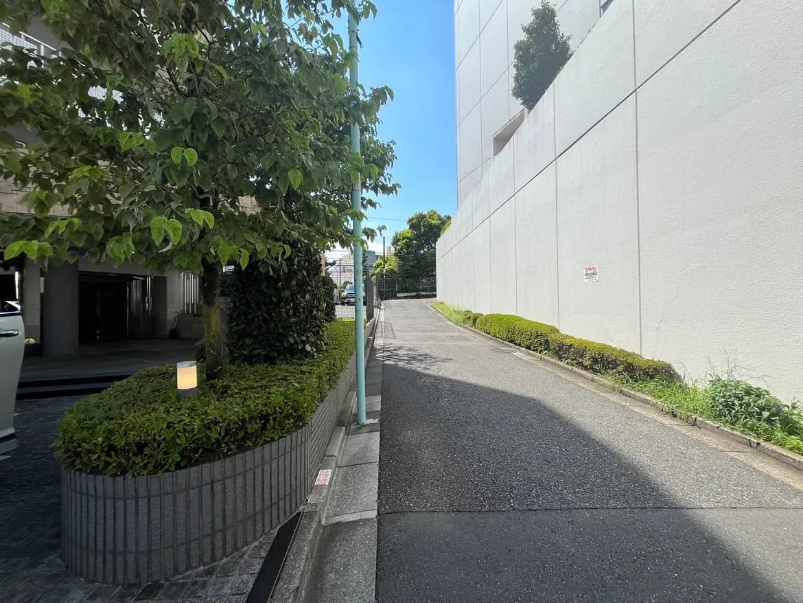 - 明るい青空の下、緑の木々が生い茂る住宅街の道の風景、舗装された路面と壁沿いの植え込みが特徴的なシーン