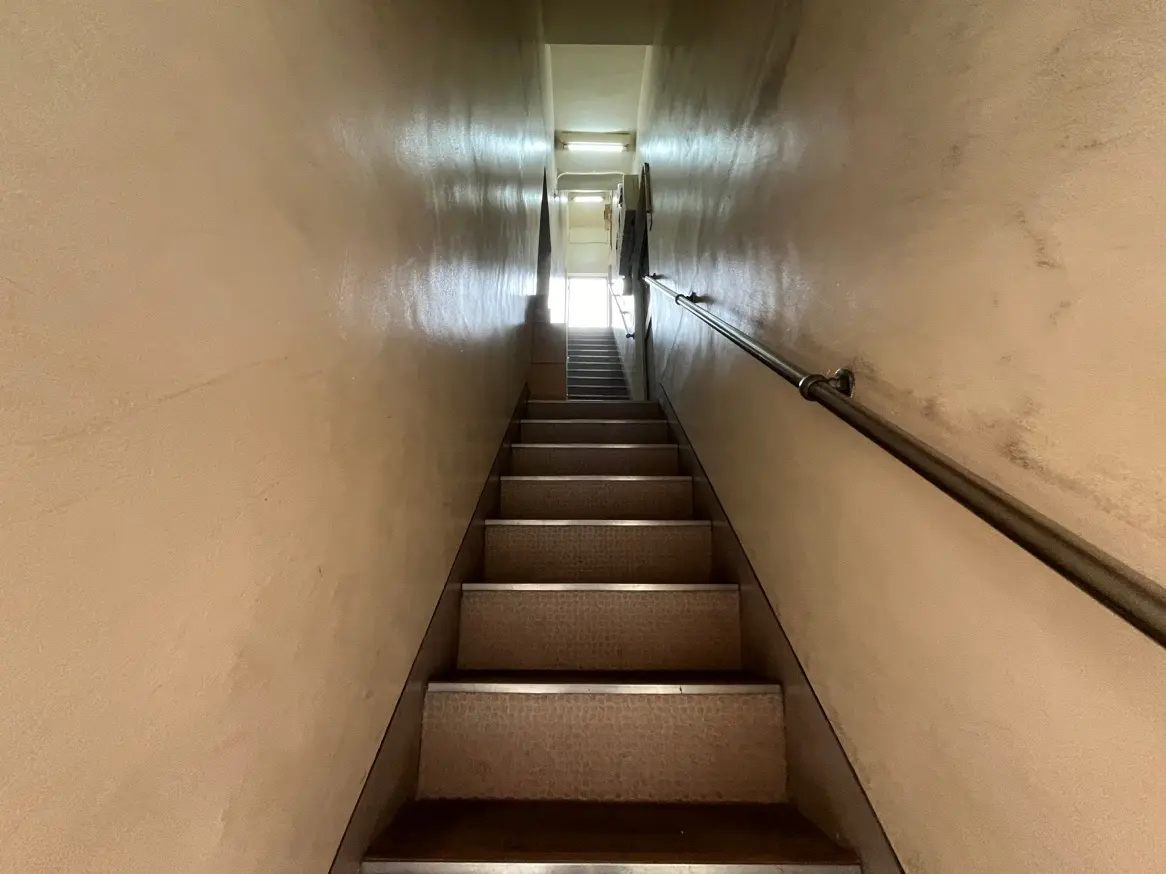 照明が暗い家の階段、手すり付きでカーペット敷き