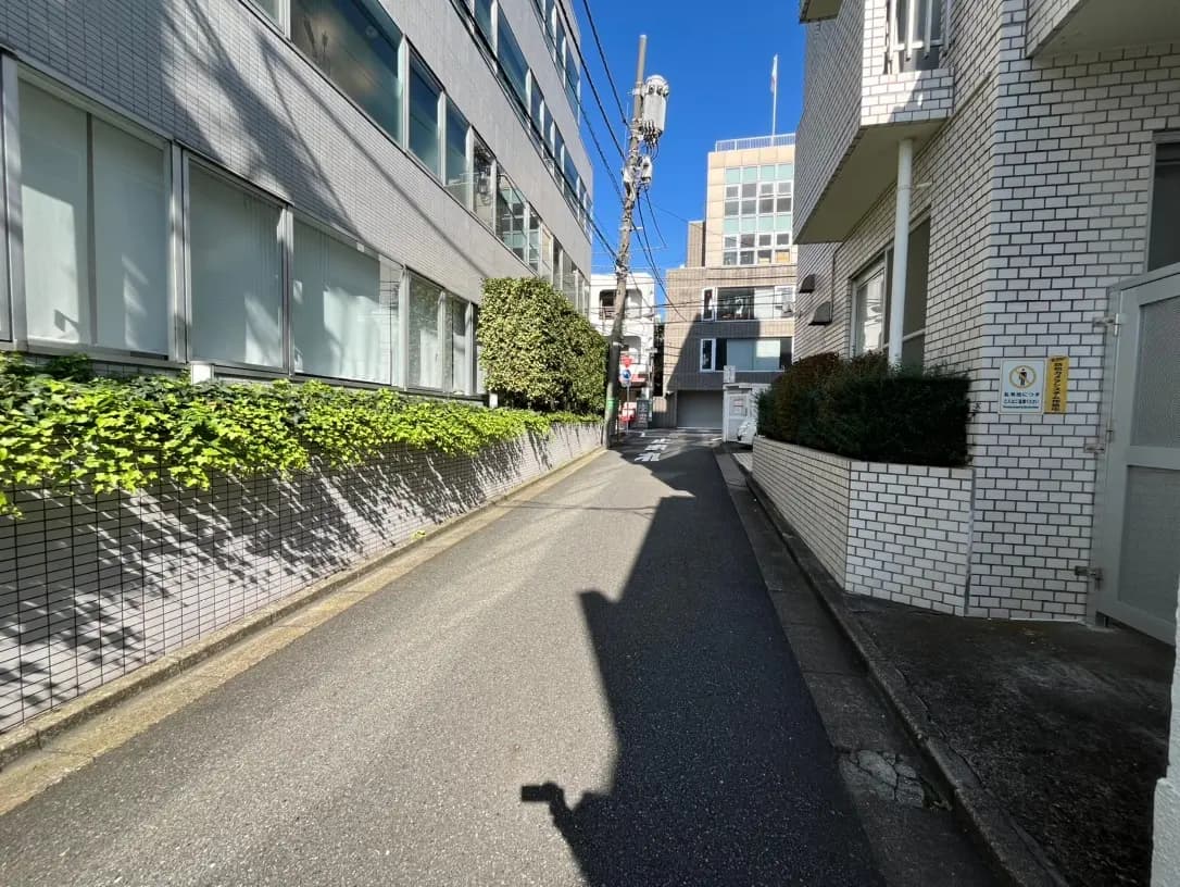 晴れた日の都市の路地、白い建物と緑の植物が映る影