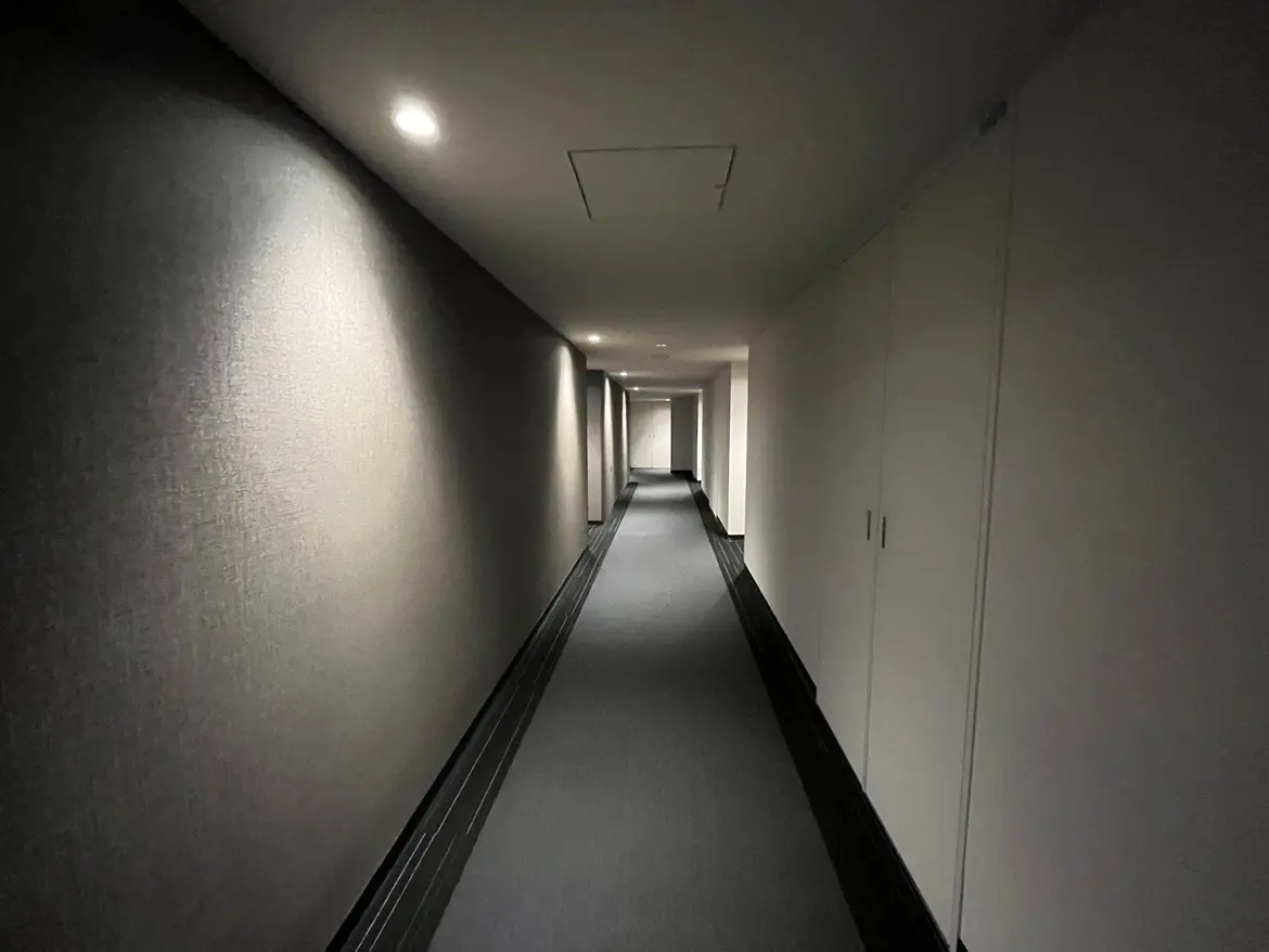 - 照明が少しだけある暗い廊下、洗練された壁と滑らかなフローリングが特徴のモダンなインテリア