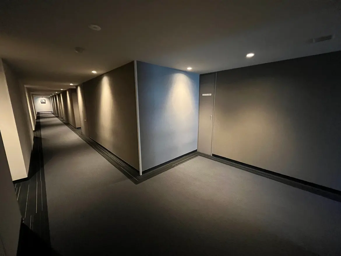 - 照明が設置されたシンプルでモダンな廊下、淡い色合いの壁とカーペットが施された内装