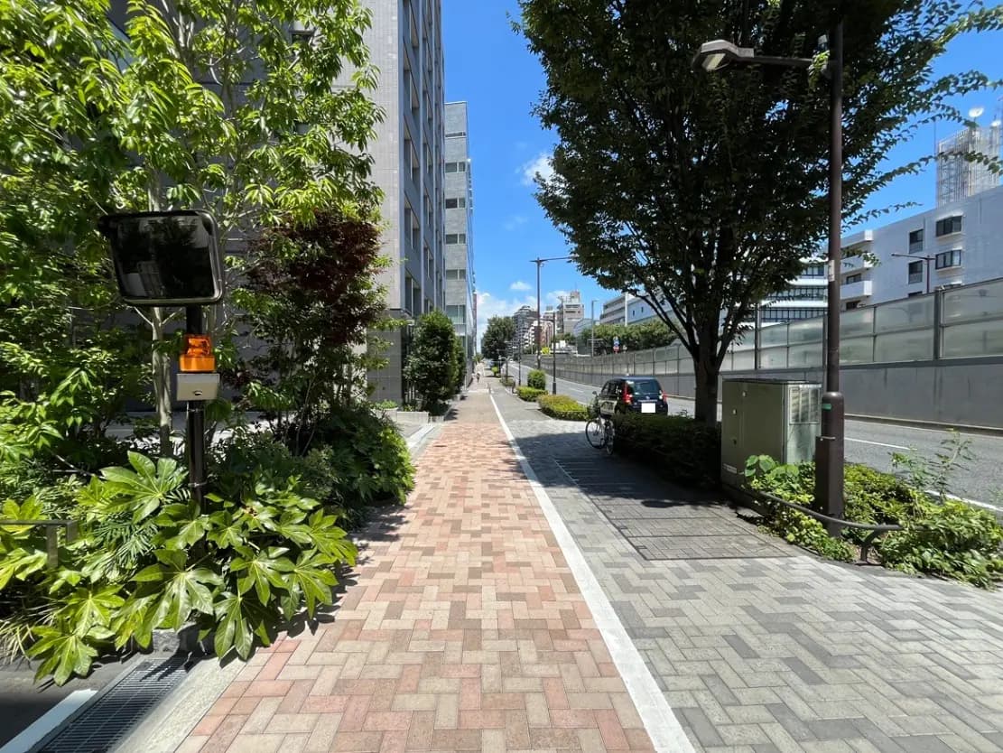 - 明るい青空の下、緑豊かな樹木と植栽に囲まれた歩道、レンガ状の舗装の道と街灯、通り沿いの自転車と車が見える風景