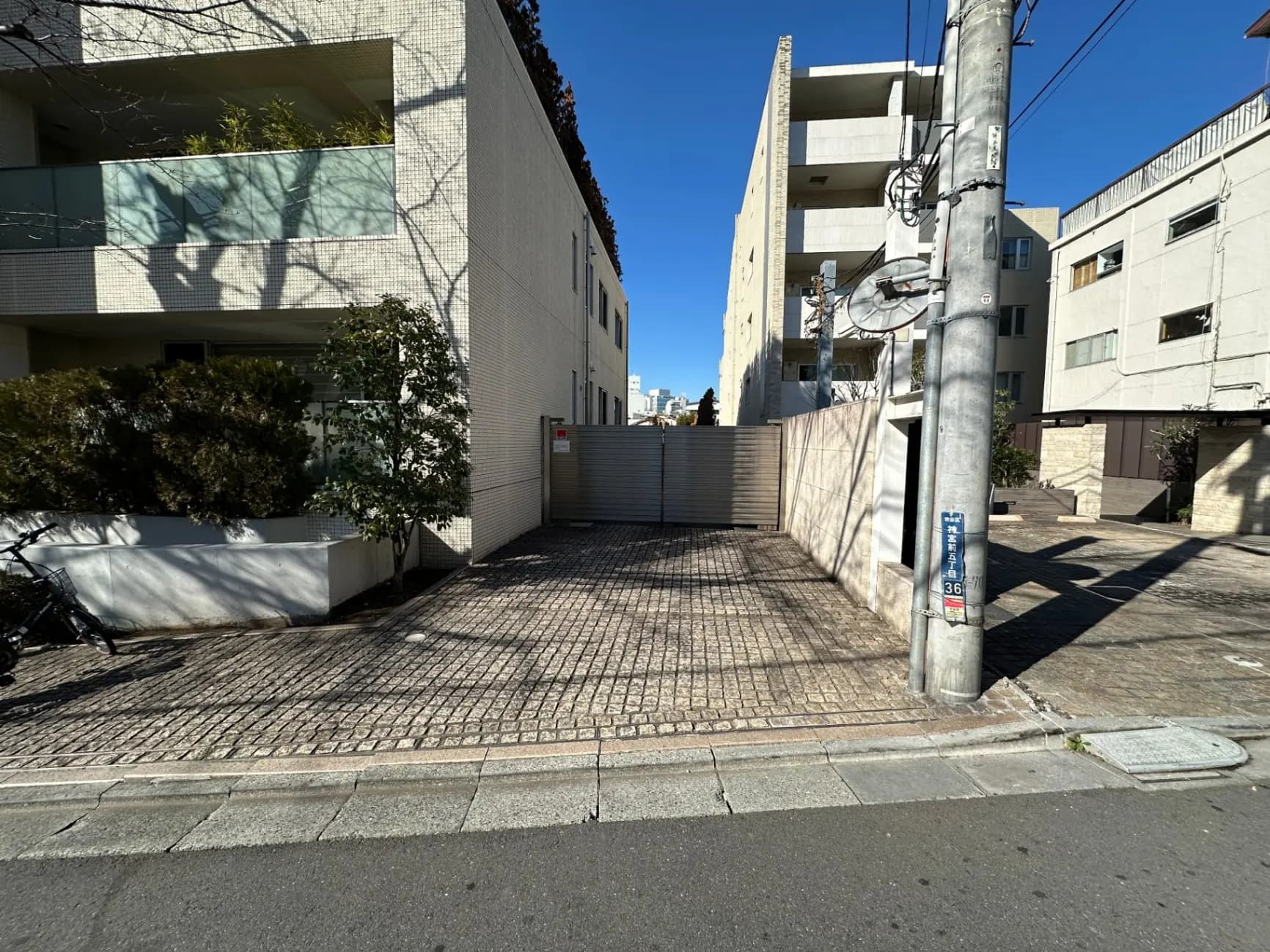 日差しのあたる都市の歩道と現代的な建物、電信柱と植栽が見える外観