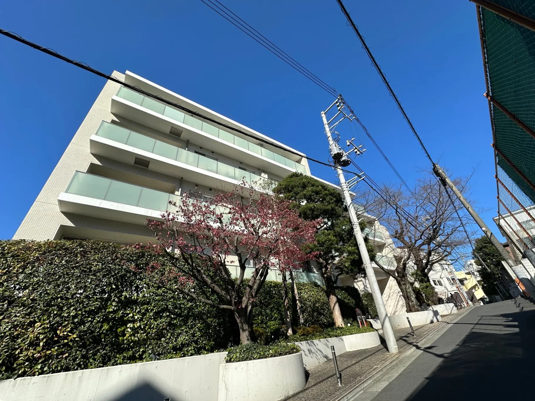 晴れた日の都市部の住宅街にあるモダンなアパートメントビル、青空のもとで花が咲く木、街路樹、電信柱と電線
