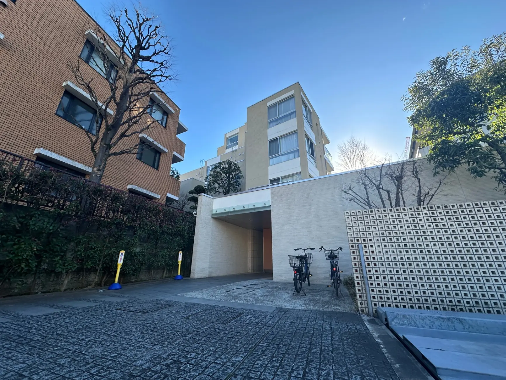 青空と木々の影が映る現代的な都市の建物と駐輪スペース