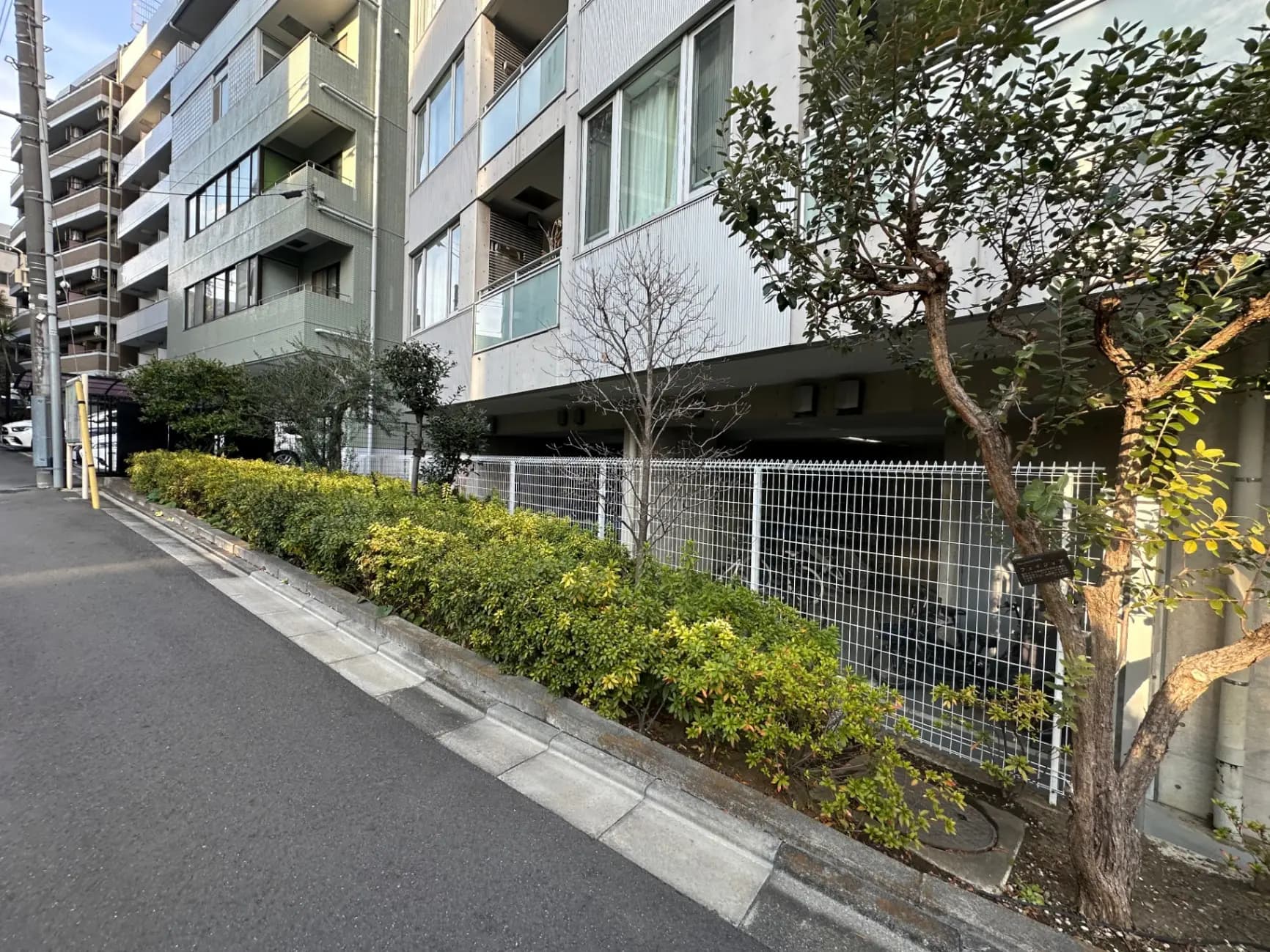 都市の住宅街にあるモダンなマンション、歩道沿いに植栽された緑の植物、日中の明るい光の下での外観