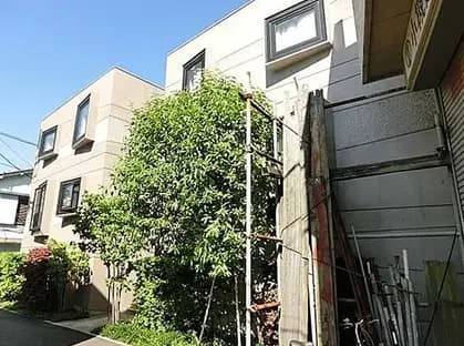 - 住宅の外観、植物に囲まれたモダンな建物と作業用の木材や資材が置かれた周囲の様子