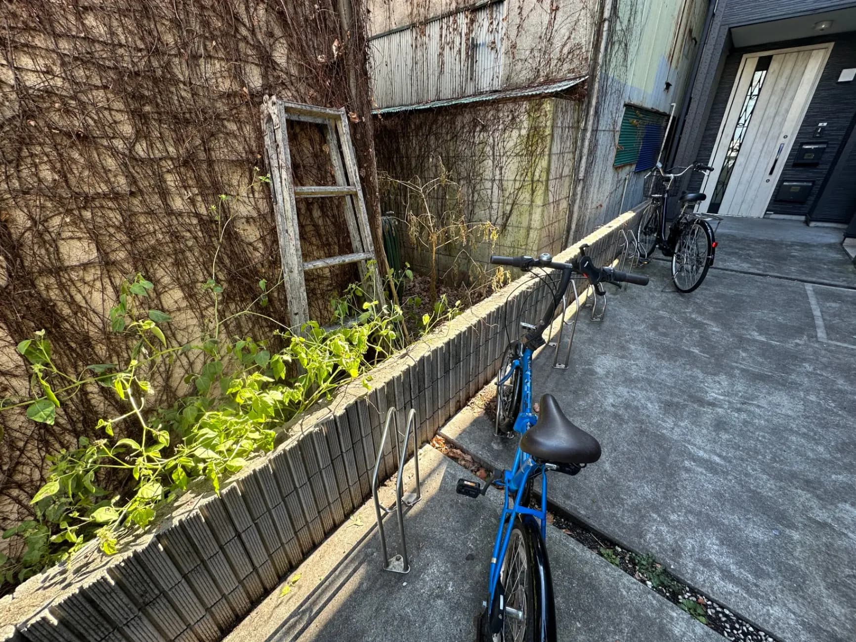 古い建物の壁に這い上がるツタ、隣には自転車が停められている都会の路地裏