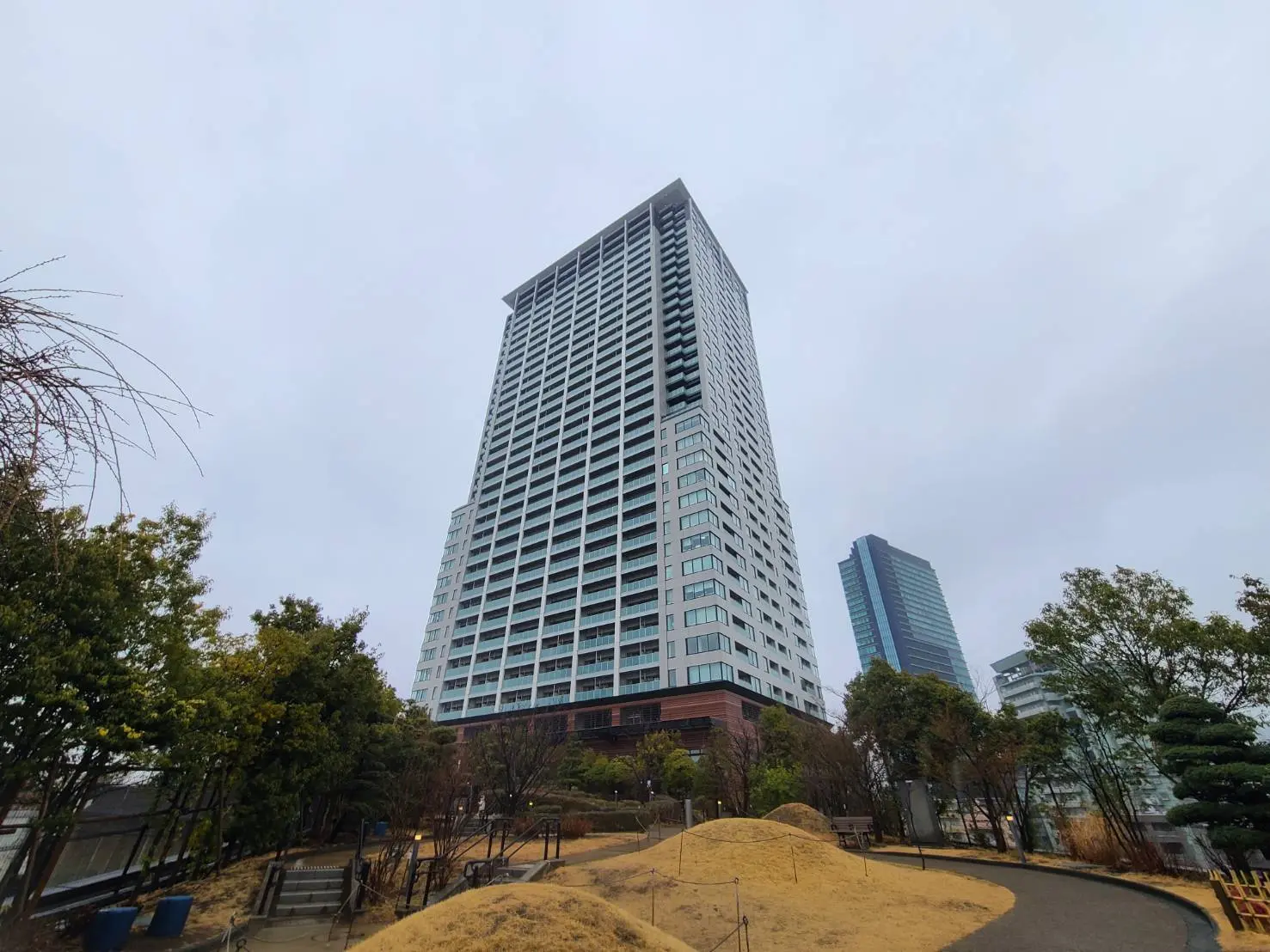 都市の公園から見上げる高層ビル、木々と遊歩道がある風景