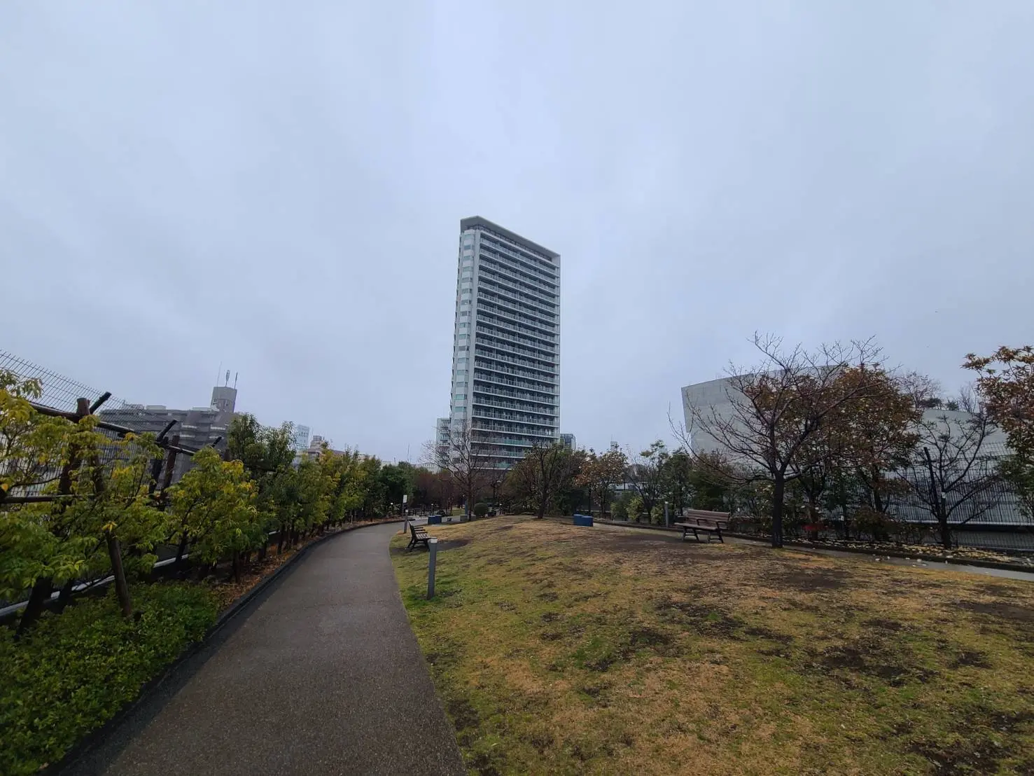 公園の遊歩道から見た高層ビル、曇り空と木々が緑を添える都市風景