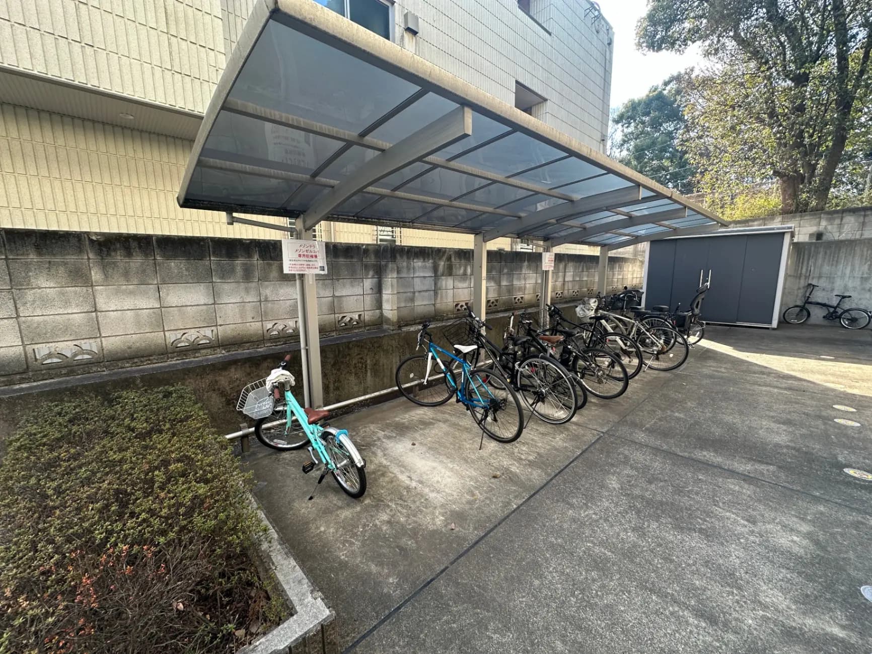 屋根付き自転車駐輪場、様々な自転車が停められており、背景には建物と木が見える