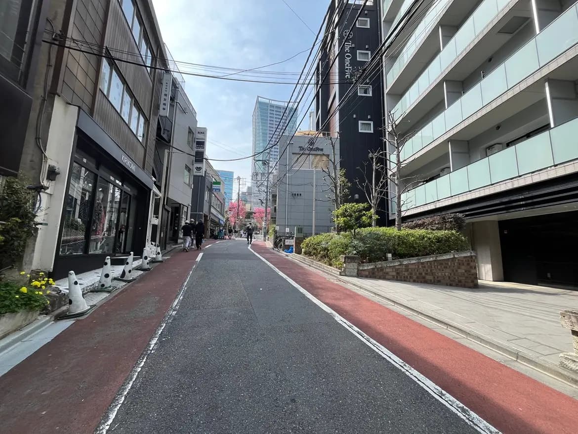 春の日本の都市風景、歩行者道、商店、桜の花が見える街路