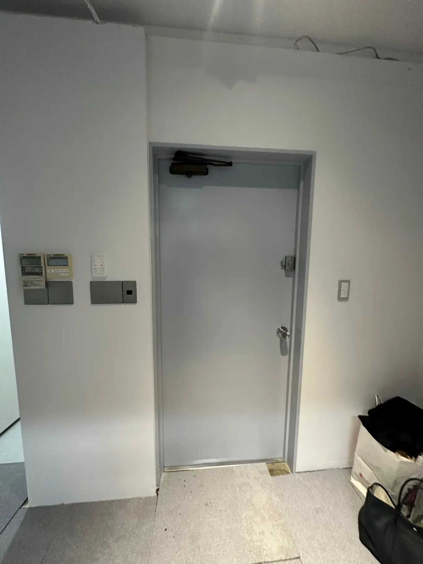 シンプルなデザインの室内ドア、ホワイトウォール、室内の一部と電気メーターが見える공間
