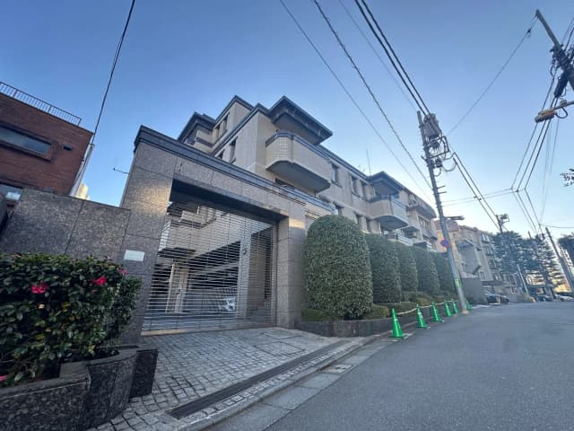 都市の住宅街、グレーの壁に石畳の歩道、シンボルツリーと鉄柵のある高級住宅