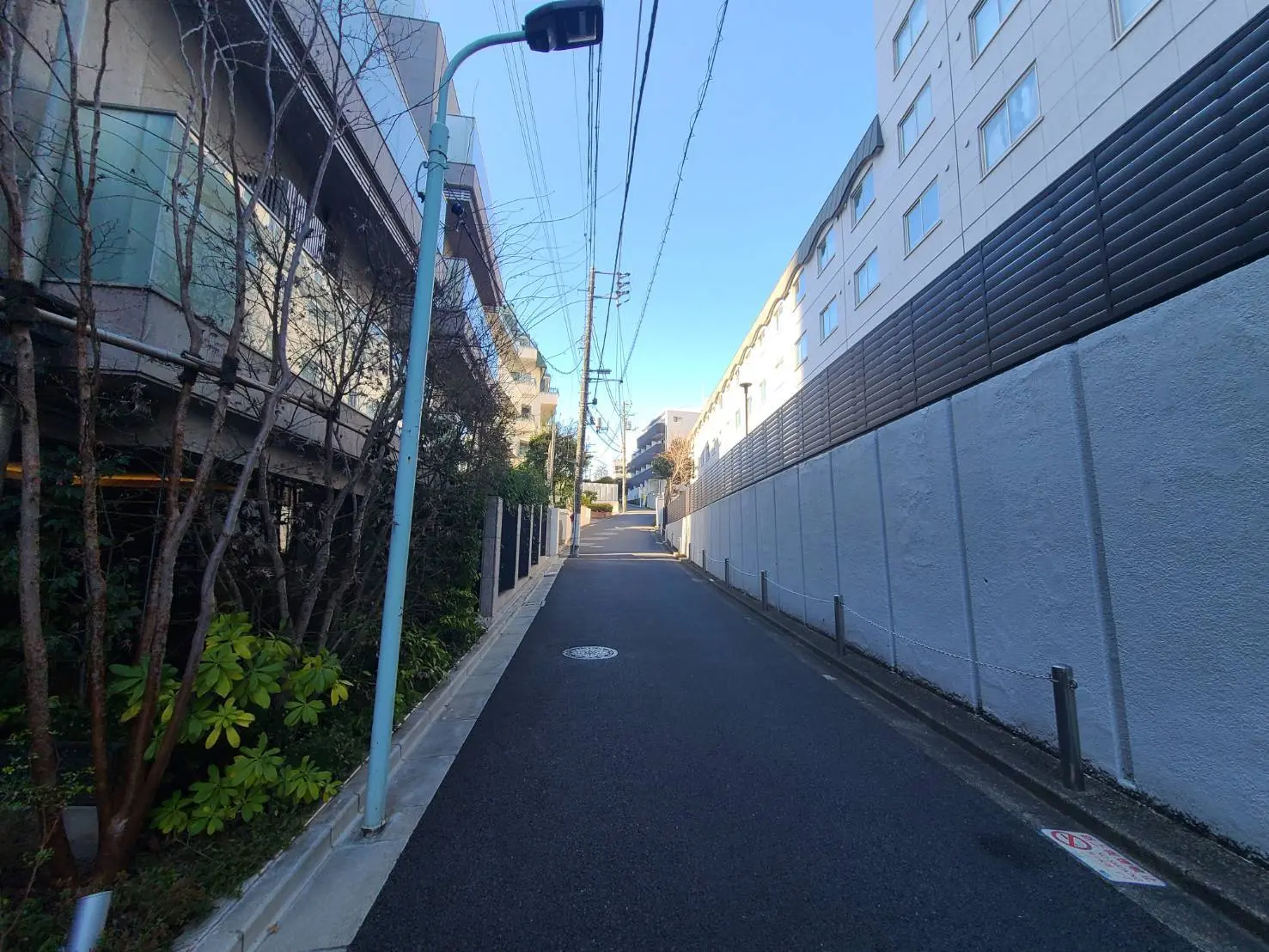青空が広がる晴れた日の街中の狭い道路、左側には古いビルと緑の植物、右側には白い壁の建物