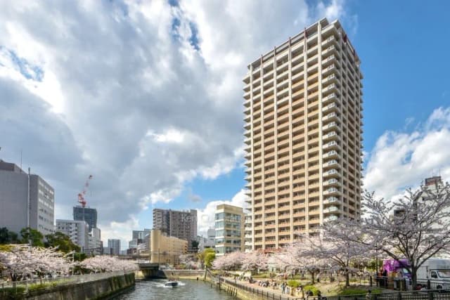 - 桜並木が広がる川沿いの風景と高層ビル、青空と白い雲が映える春の情景