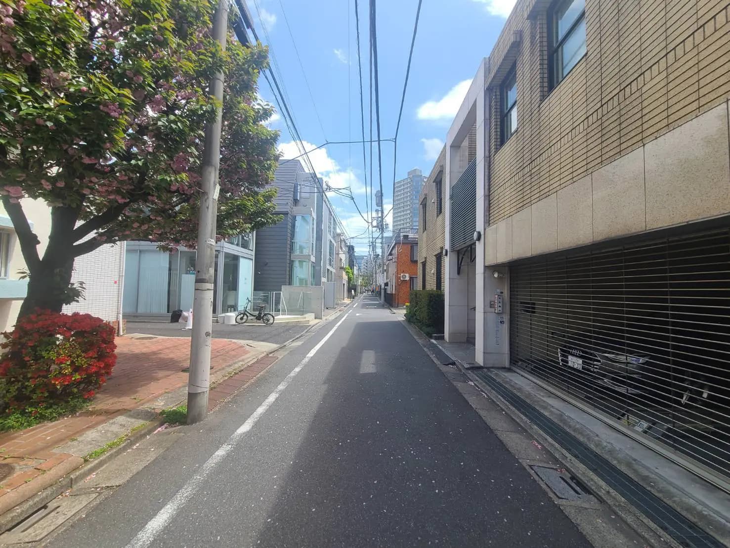 晴れた日の日本の住宅街、アスファルトの道路、緑豊かな木々とモダンな建物の外観