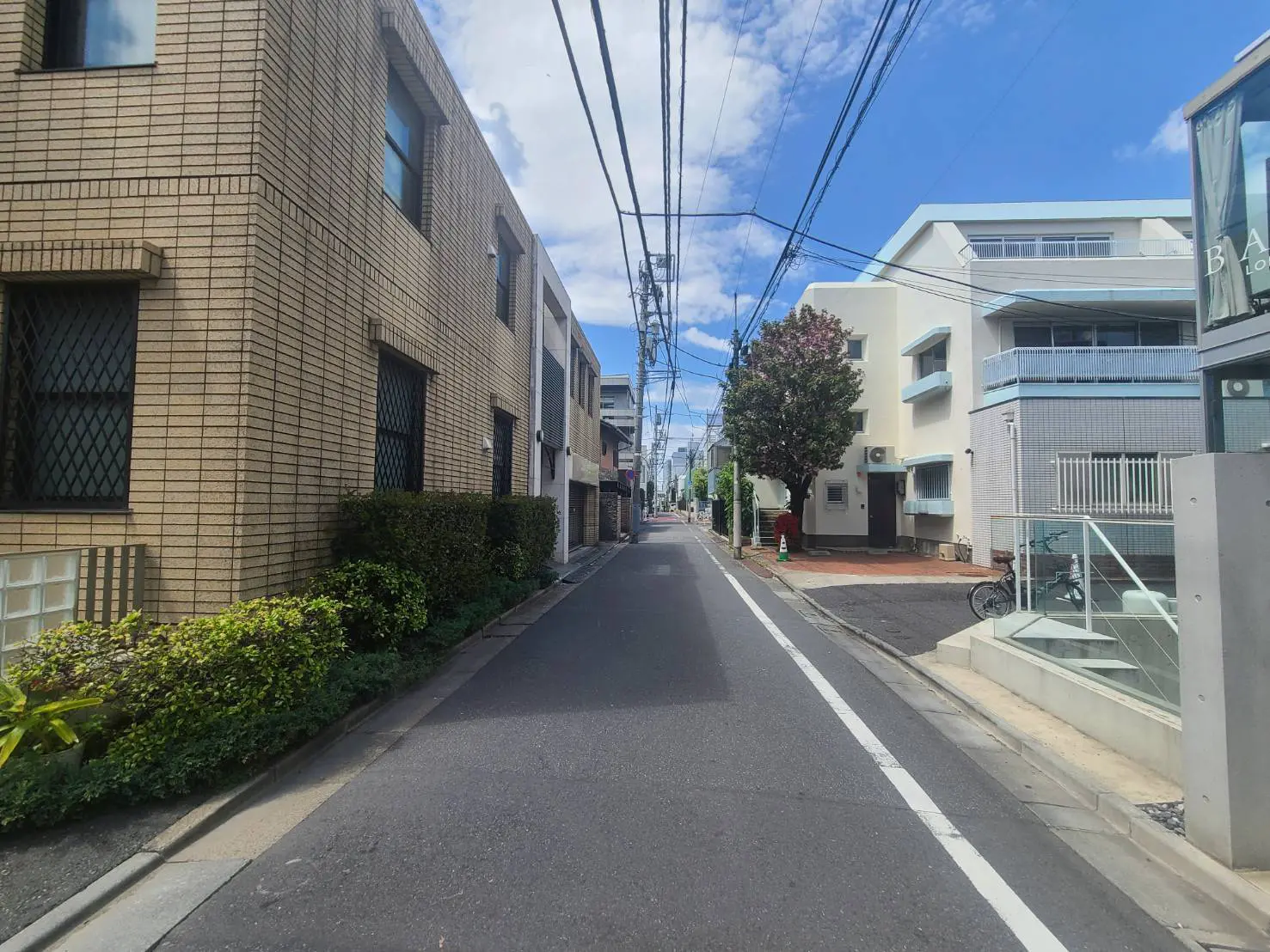 閑静な住宅街の狭い道路、並木と住宅、青空と電線、都市の景観