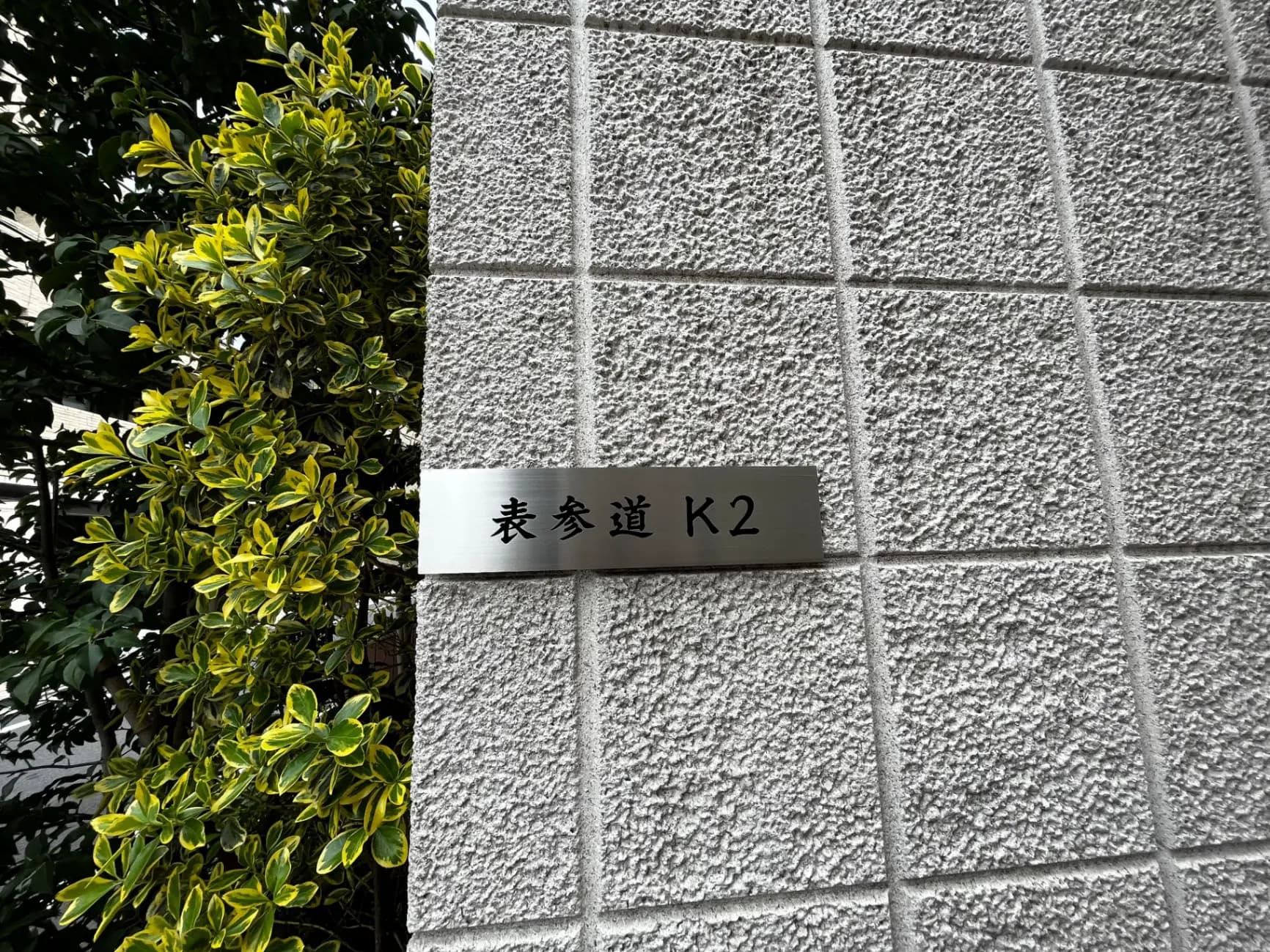 白い壁に取り付けられた表札「株式会社K2」、緑の葉をした植物が隣にある外観