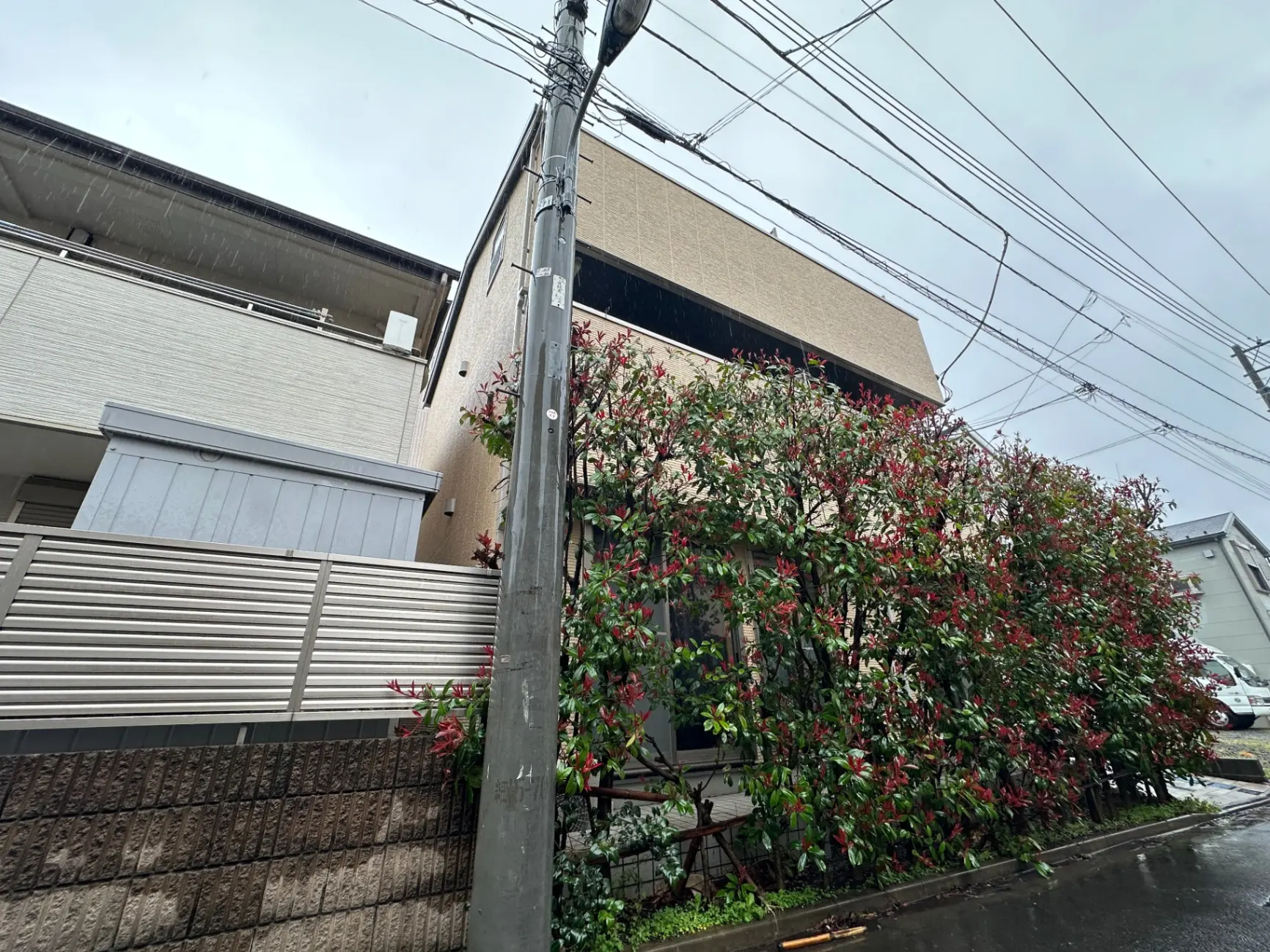 雨の日の住宅街、赤い花が咲く庭木、通りに面した現代的な家の外観
