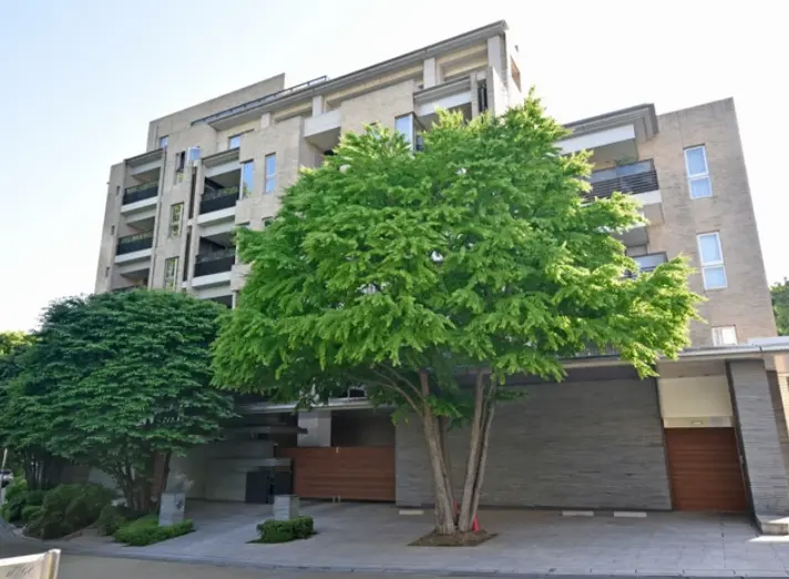 緑豊かな樹木があるモダンな外装デザインのマンション、都市の住宅街に位置する建物