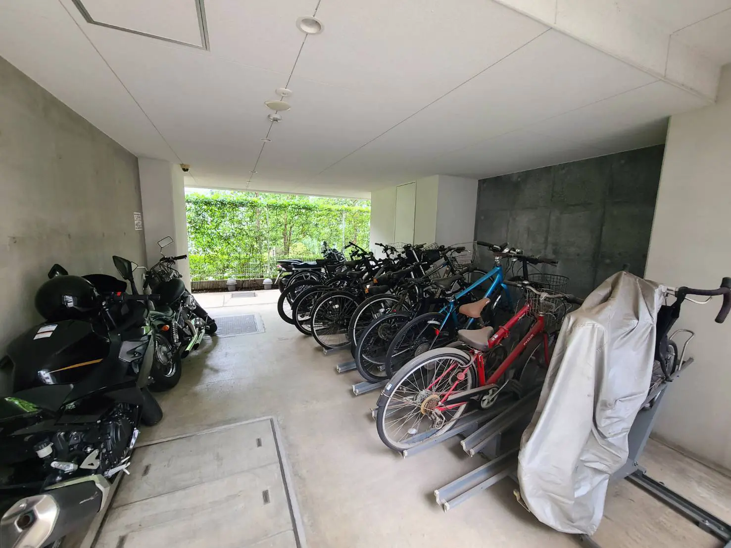 - 自転車とバイクが整然と駐輪された屋内駐輪場、背景には緑の植物が見える明るい空間