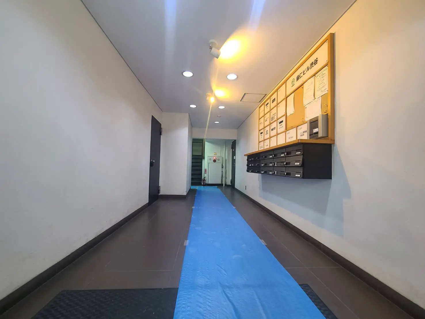 - モダンなビルの廊下、青いシートが敷かれた床と壁に掲示板、郵便受けが並ぶシンプルなデザインのインテリア