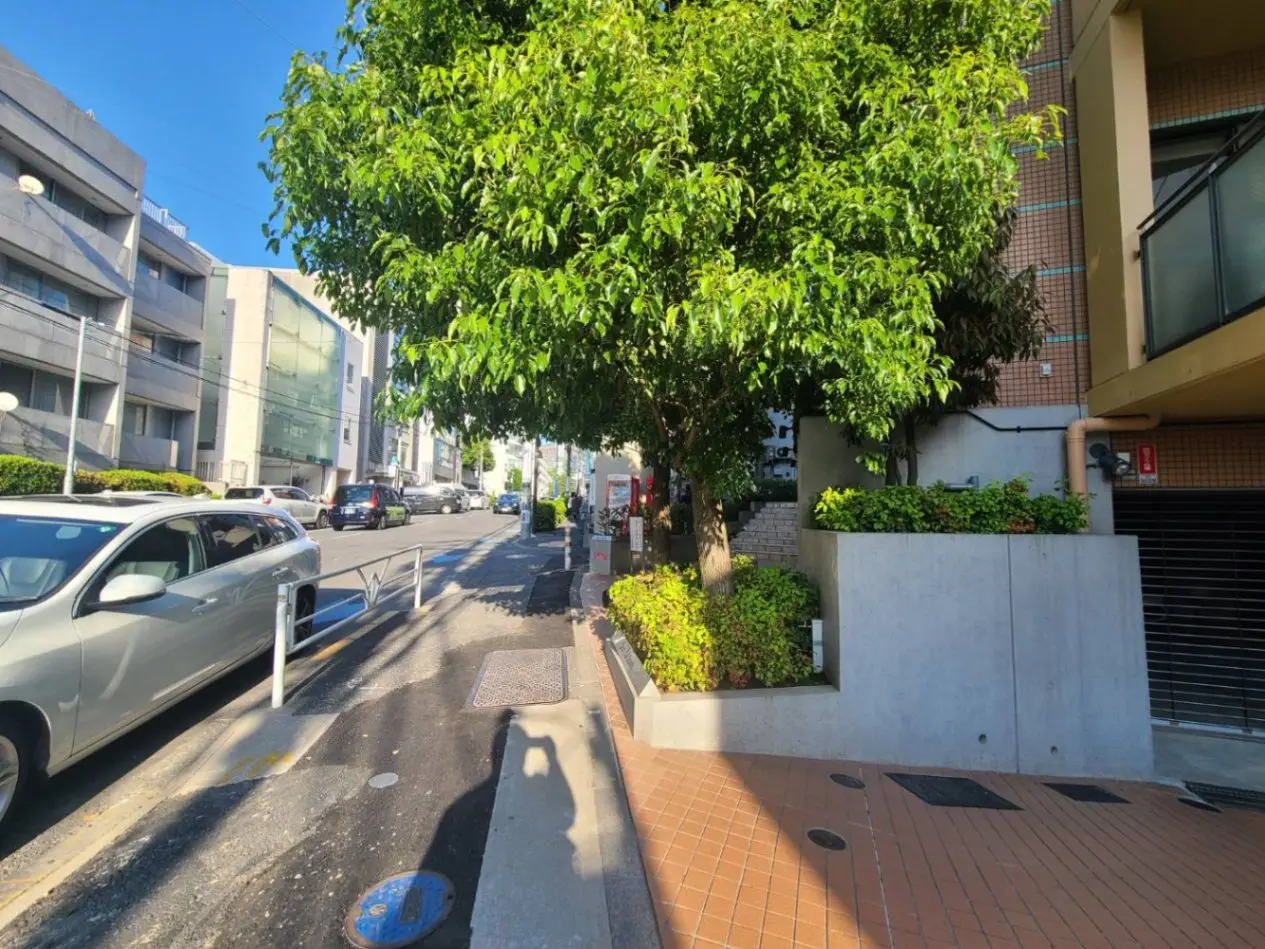 - 明るい日差しの下、木々と緑の植栽が広がる街並み、道路脇に停車した車と建物の風景