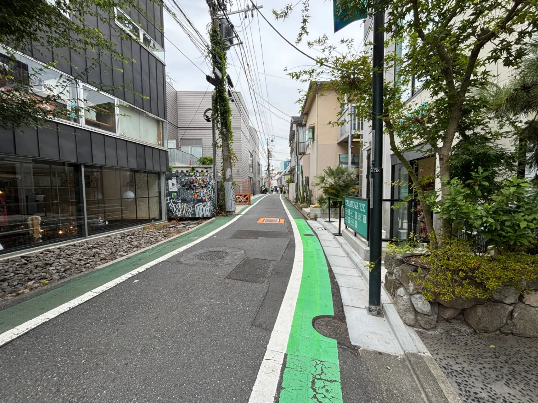 - 街中の緑色の自転車レーンがある通り、オシャレな建物や植栽が並ぶ風景